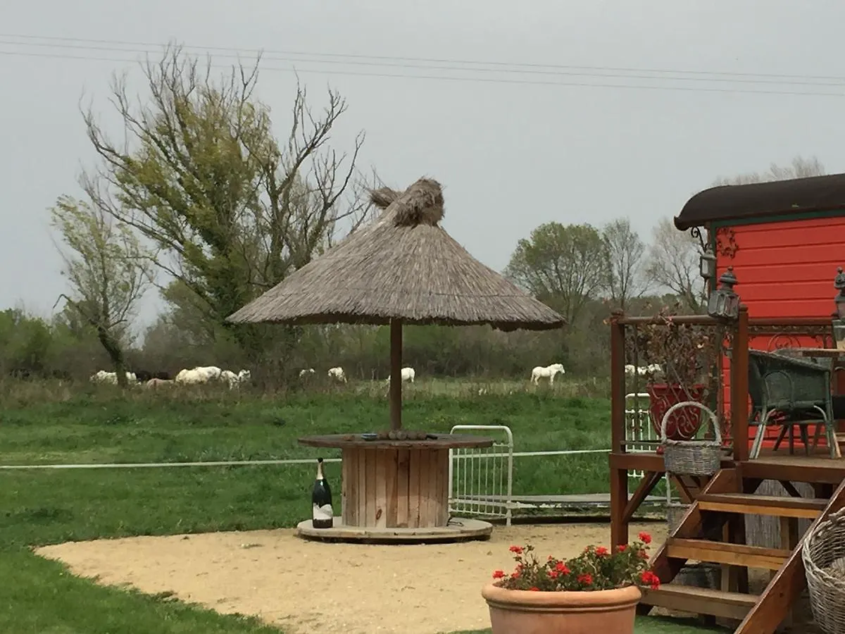 Bed & Breakfast Mas Du Menage En Camargue Manade Clauzel Bed and Breakfast Saintes-Maries-de-la-Mer Frankrike